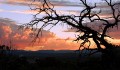 Red Hill_20060216_051